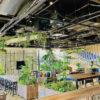 新木場　カフェ　Link-cafe(リンクカフェ)三井リンクラボ新木場2店　店内の雰囲気