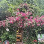 赤羽　カフェ　Ery's Cafe（エリーズカフェ）　外観
