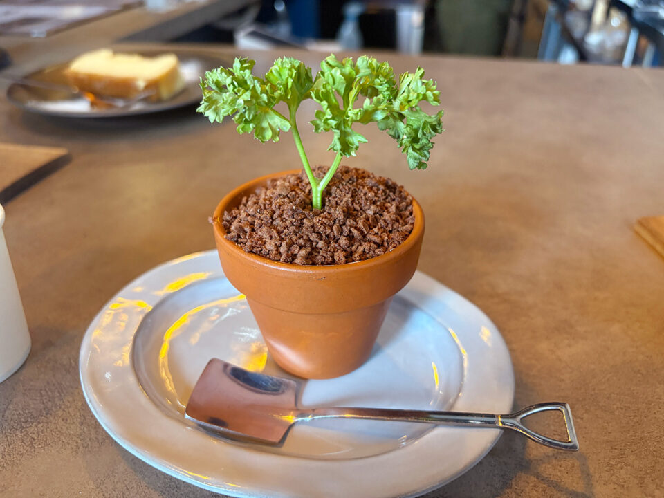 観葉植物のような形をしたプリン