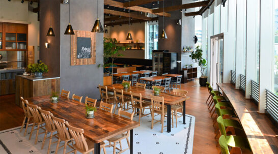 豊洲　カフェ　Royal Garden Cafe&TAVERN （ロイヤルガーデンカフェ&タバーン） 豊洲　店内の雰囲気