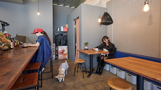 神楽坂　カフェ　Cafe&Bistro Shelty（カフェビストロ シェルティー）　店内の雰囲気