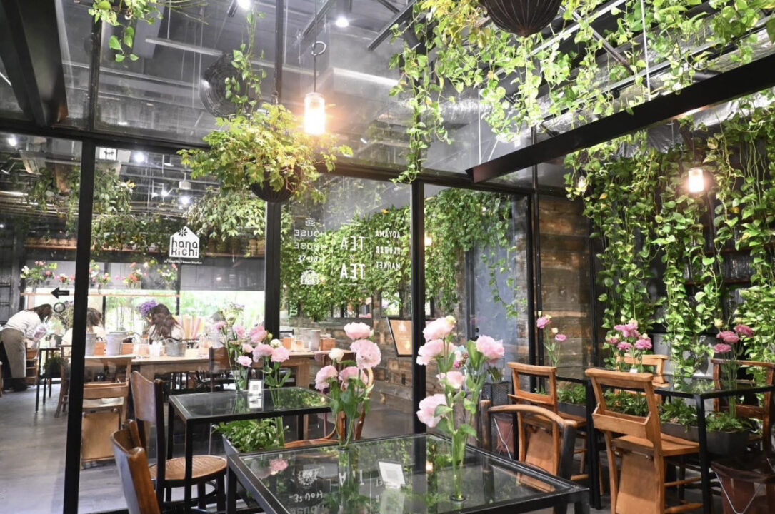 青山　カフェ　青山フラワーマーケット GREEN HOUSE（グリーンハウス）店内の雰囲気