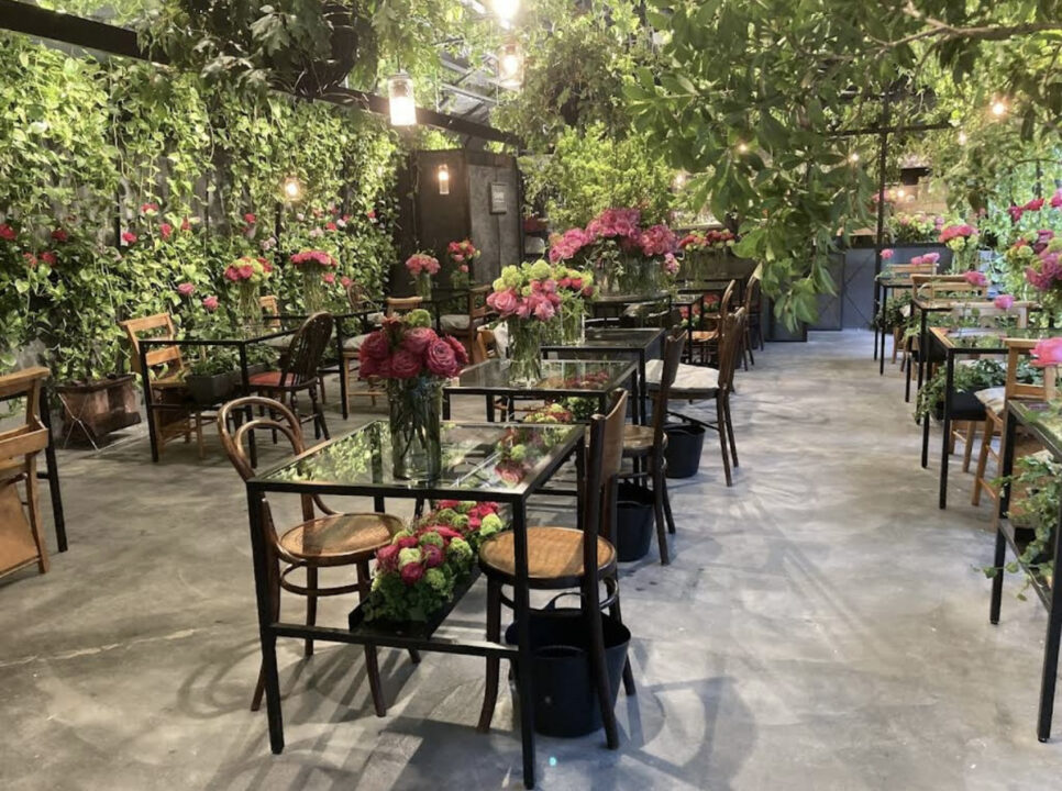 青山　カフェ　青山フラワーマーケット GREEN HOUSE（グリーンハウス）店内の雰囲気