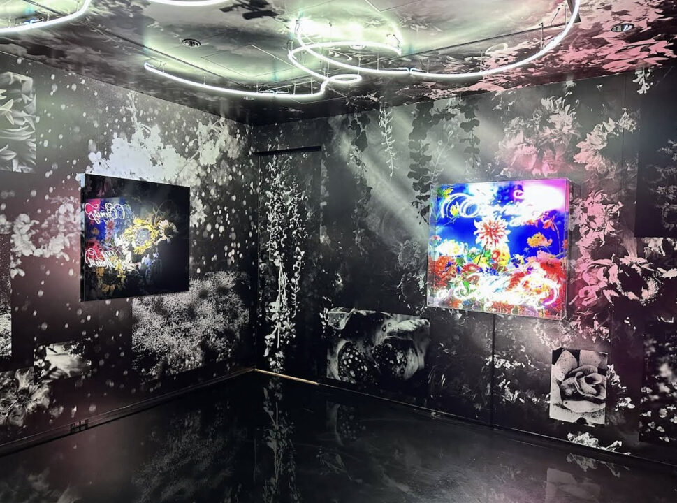 表参道　カフェ　anonymous art cafe & bar（アノニマス アート カフェ アンド バー）　店内の雰囲気