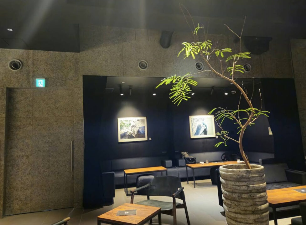 表参道　カフェ　anonymous art cafe & bar（アノニマス アート カフェ アンド バー）　店内の雰囲気