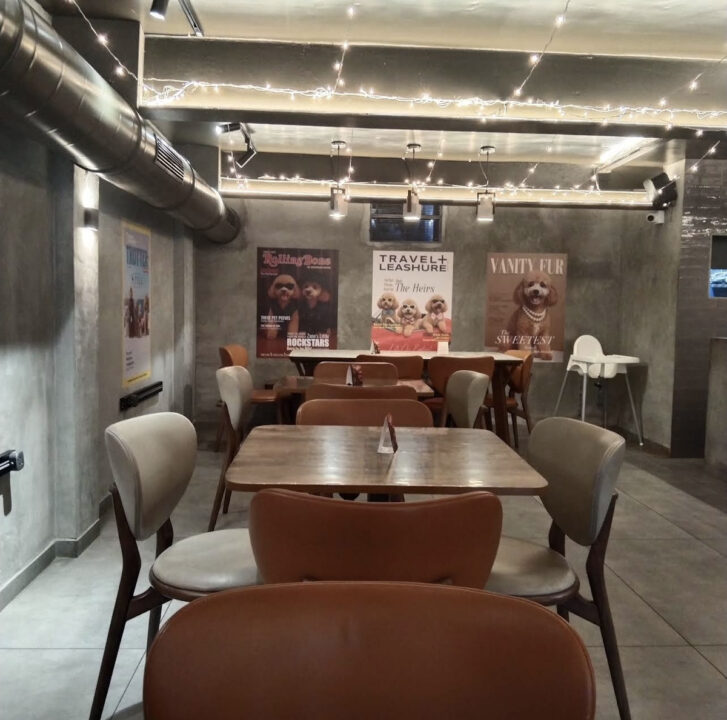 インド ムンバイ カフェ Zane's Cafe(ゼインズカフェ) 店内の雰囲気