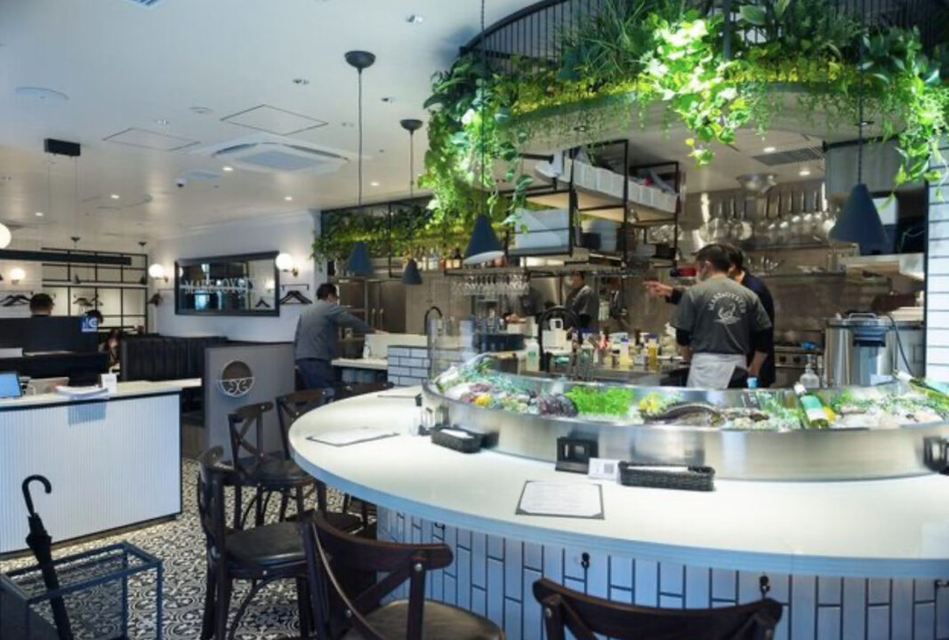 大井町　カフェレストラン　MARE & OYSTER（マーレアンドオイスター）店内の雰囲気