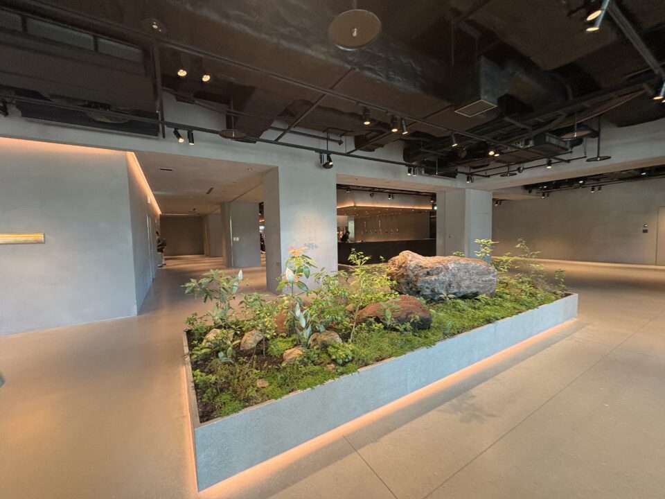 高輪ゲートウェイ　ランチ　MIMURE　店内の雰囲気